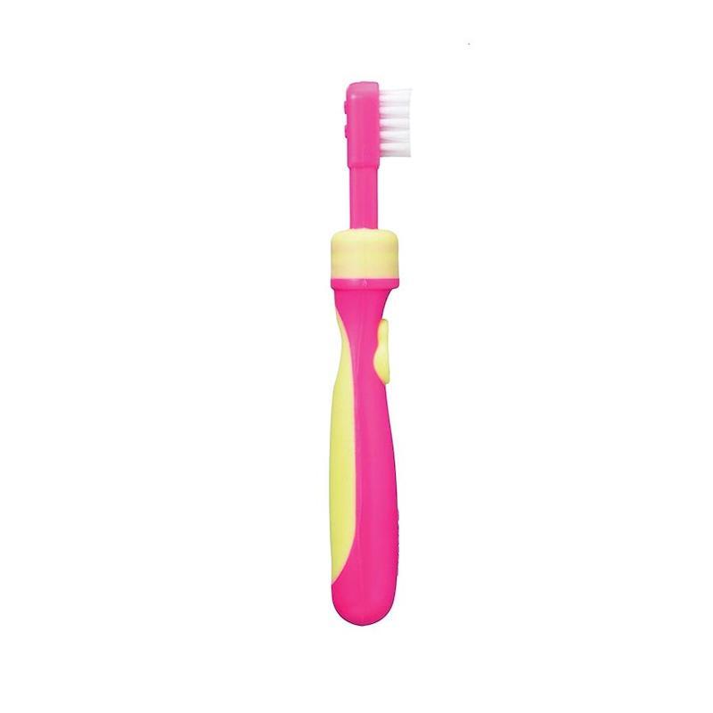 Pigeon Training Toothbrush Training Step 3 Pink